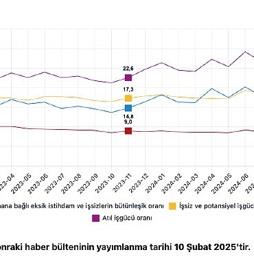 tuik-mevsim-etkisinden-arindirilmis-issizlik-orani-86-seviyesinde-gerceklesti.jpg