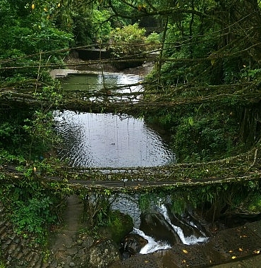 3-bolumden-olusan-vahsi-hindistan-1-mart-cumartesi-gunu-20-00de-national-geographic-wild-ekranlarinda-basliyor.jpg