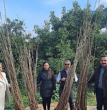 buyuksehirden-dut-fidani-destegi.jpg