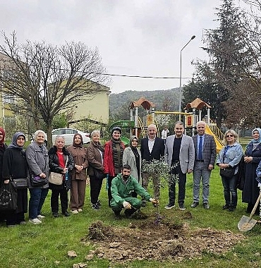 golcukte-orman-haftasinda-zeytin-agaclari-toprakla-bulustu.jpg