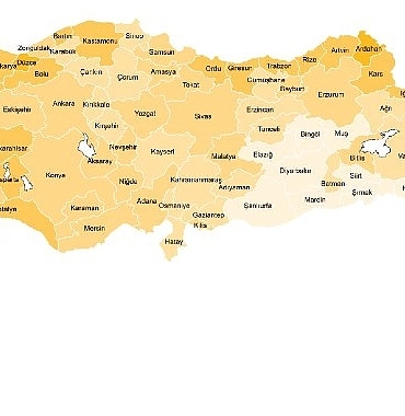 isgucu-istatistikleri-2024.jpg