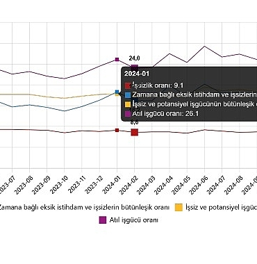 isgucu-istatistikleri-subat-2025.jpg