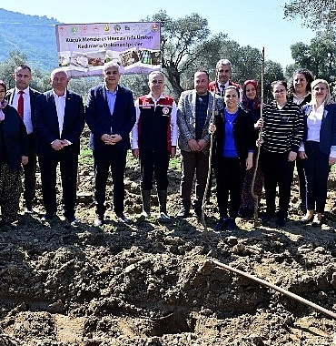 izmirde-kadin-ciftcilere-destek-dut-fidanlari-toprakla-bulustu.jpg