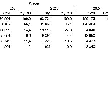 motorlu-kara-tasitlari-subat-2025.jpg
