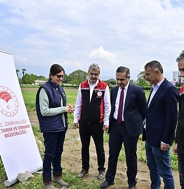 17-bin-kuskonmaz-fidesi-ureticilere-teslim-edildi.jpg