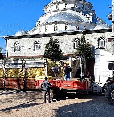 buyuksehir-tarimin-gucune-guc-katiyor.jpg