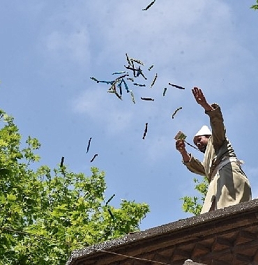 festivalin-renkleri-fotograf-karelerinde-hayat-bulacak.jpg