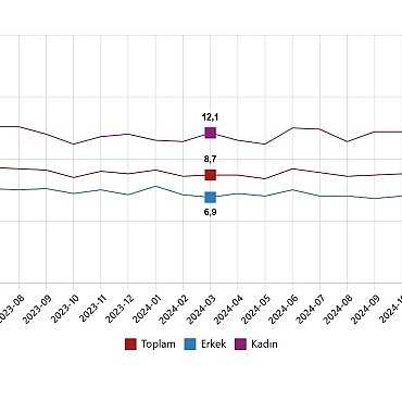 isgucu-istatistikleri-mart-2025.jpg