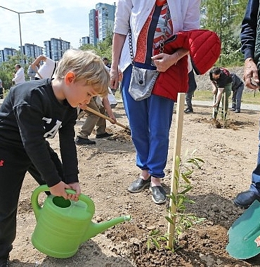 karsiyakada-zeytin-fidanlari-toprakla-bulustu.jpg