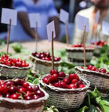 baskan-gorkem-dumandan-kiraz-festivaline-davet.jpg