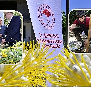 beydagda-kozalar-ipek-acti.jpg