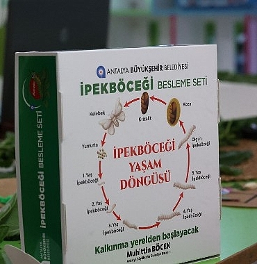 buyuksehir-cocuklari-ipekbocegi-ile-tanistiriyor.jpg