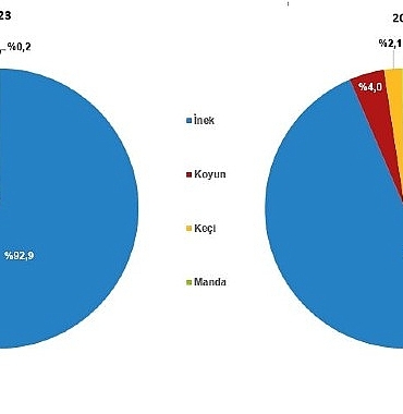 cig-sut-uretim-istatistikleri-2024.jpg