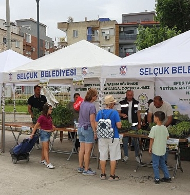 efes-tarlasi-yasam-koyunde-dagitilan-fideler-dmd-hastasi-cocuklara-umut-oldu.jpg