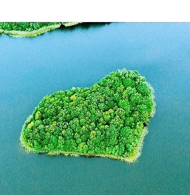 ingnin-iklim-hedefleri-bilimsel-tabanli-hedefler-girisimi-sbti-tarafindan-dogrulandi.jpg