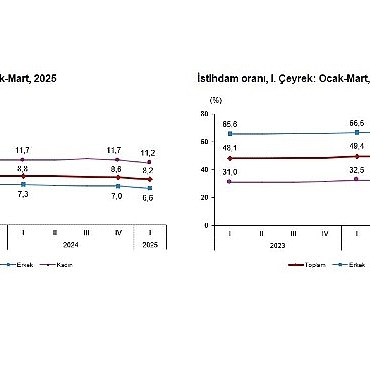 isgucu-istatistikleri-i-ceyrek-ocak-mart-2025.jpg