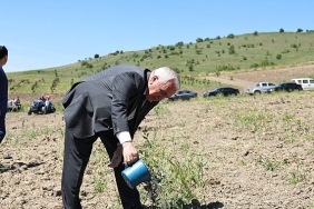 nilufer-belediyesi-konakliya-800-zeytin-fidani-dikti.jpg