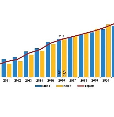 ulusal-egitim-istatistikleri-2024.jpg