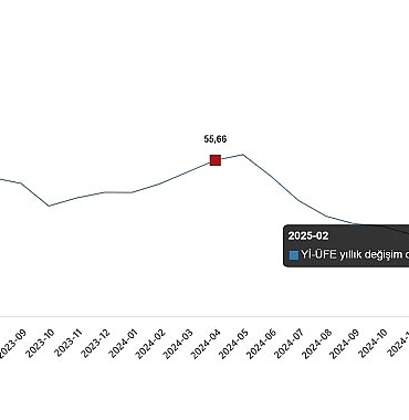 yurt-ici-uretici-fiyat-endeksi-nisan-2025.jpg