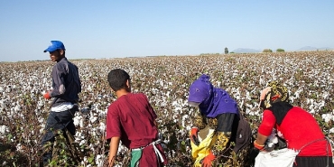 12-haziran-dunya-cocuk-isciligi-ile-mucadele-gunu-turkiyede-mevsimlik-tarimin-yuku-cocuklarin-omzunda.jpg