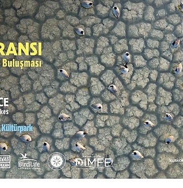 22-turkiye-kus-konferansi-14-15-haziran-2025te-izmirde-duzenlenecek.jpg