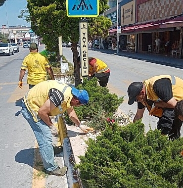 baskan-cercioglunun-hizmetleri-kusadasini-doganin-yesil-tonlari-ile-bulusturuyor.jpg