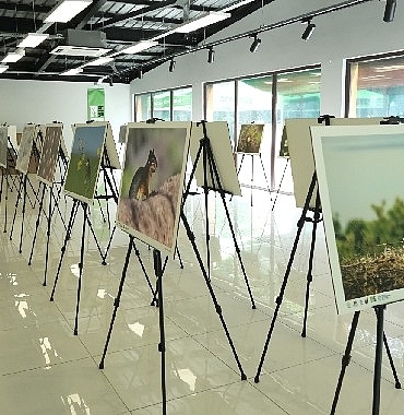 bu-fotograf-sergisi-ormanyada-gorsel-solen-sunuyor.jpg