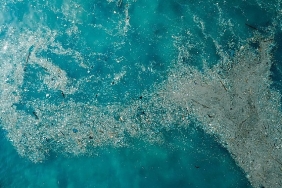 dogayla-uyumlu-yasamaliyiz-plastik-kirliligine-son-ver-yasami-koru.jpg