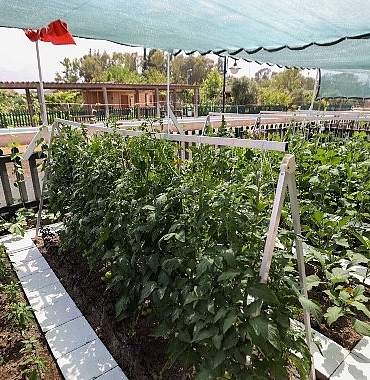 en-guzel-tasarim-ve-uygulama-yarismasinda-oduller-sahiplerini-buldu.jpg
