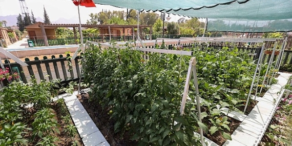 En Güzel Tasarım ve Uygulama Yarışması’nda ödüller sahiplerini buldu