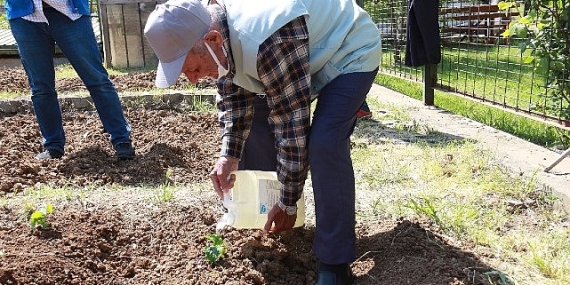İstanbullu Halk Bostanlarını Çok Sevdi