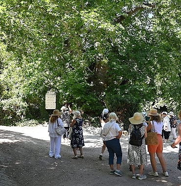 kemerde-mor-turizm-basladi.jpg