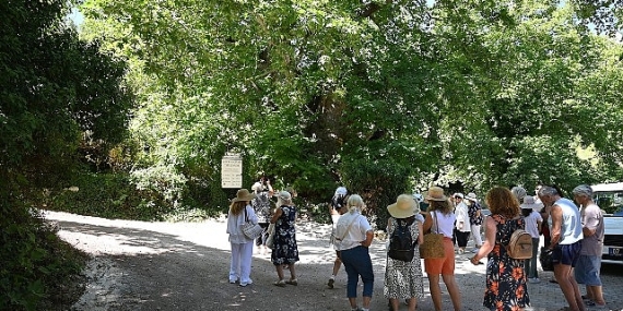 Kemer’de “Mor turizm” başladı
