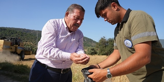 Milas Belediyesi Karakılçık Buğday Hasadı Gerçekleştirdi