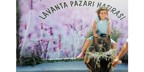 Mis Gibi Şenlik: Seferihisar’da Lavanta Büyüsü Başlıyor