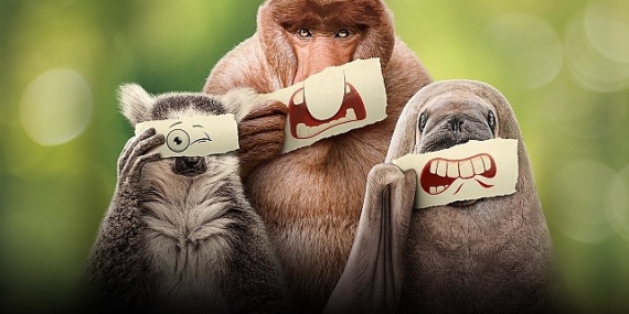 Ryan Reynolds’ın Anlatımıyla ‘Ötekiler’, 21 Haziran Cumartesi 20.00’de National Geographic WILD Ekranlarında İzleyicilerle Buluşuyor!