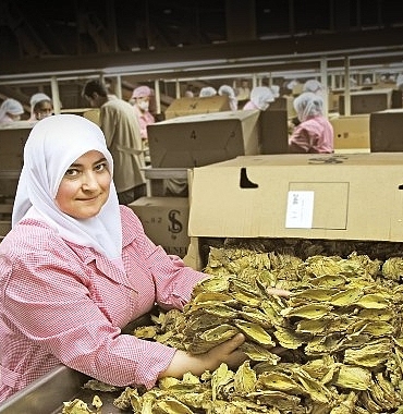 tutun-sektoru-7-yil-sonra-ihracatta-1-milyar-dolar-sinirini-asti.jpg