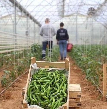 baskan-cercioglunun-tarima-ve-ureticilere-destekleri-suruyor.jpg