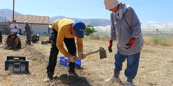 Büyükşehir’in tarım destekleri üreticiyi sevindirdi
