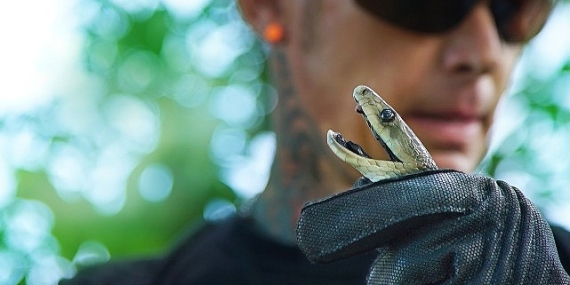 ‘Şehirdeki Yılanlar: Zehrin Ötesi’, 11 Temmuz Cuma 20.00’de National Geographic WILD Ekranlarında!
