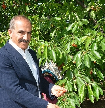 ucak-don-kirazi-kiraz-ihracati-vurdu.jpg