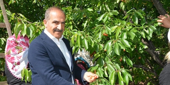 Uçak; “Don kirazı, kiraz ihracatı vurdu”