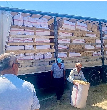 urla-belediyesinden-zeytineline-19-ton-saman-destegi.jpg