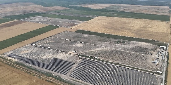 YEO Teknoloji’den dünyaya 2.5 milyon ağaç kadar nefes
