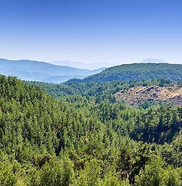 alj-turkiyeden-1-4-milyon-fidan-ile-baslayan-agac-seferberligi.jpg