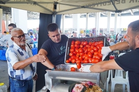 ayvalikta-salca-zamani-basladi.jpg