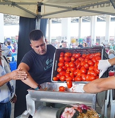 ayvalikta-salca-zamani-basladi.jpg