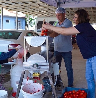 ayvalikta-salca-zamani-basliyor.jpg