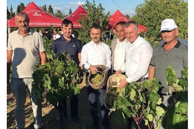 baskan-buyukakin-izmitte-uzum-hasadina-katildi.jpg