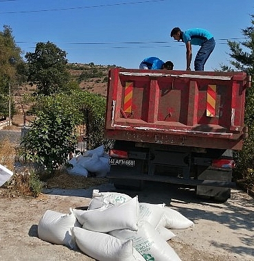 buyuksehirden-ureticiye-tavuk-yemi-ve-ekipman-destegi.jpg